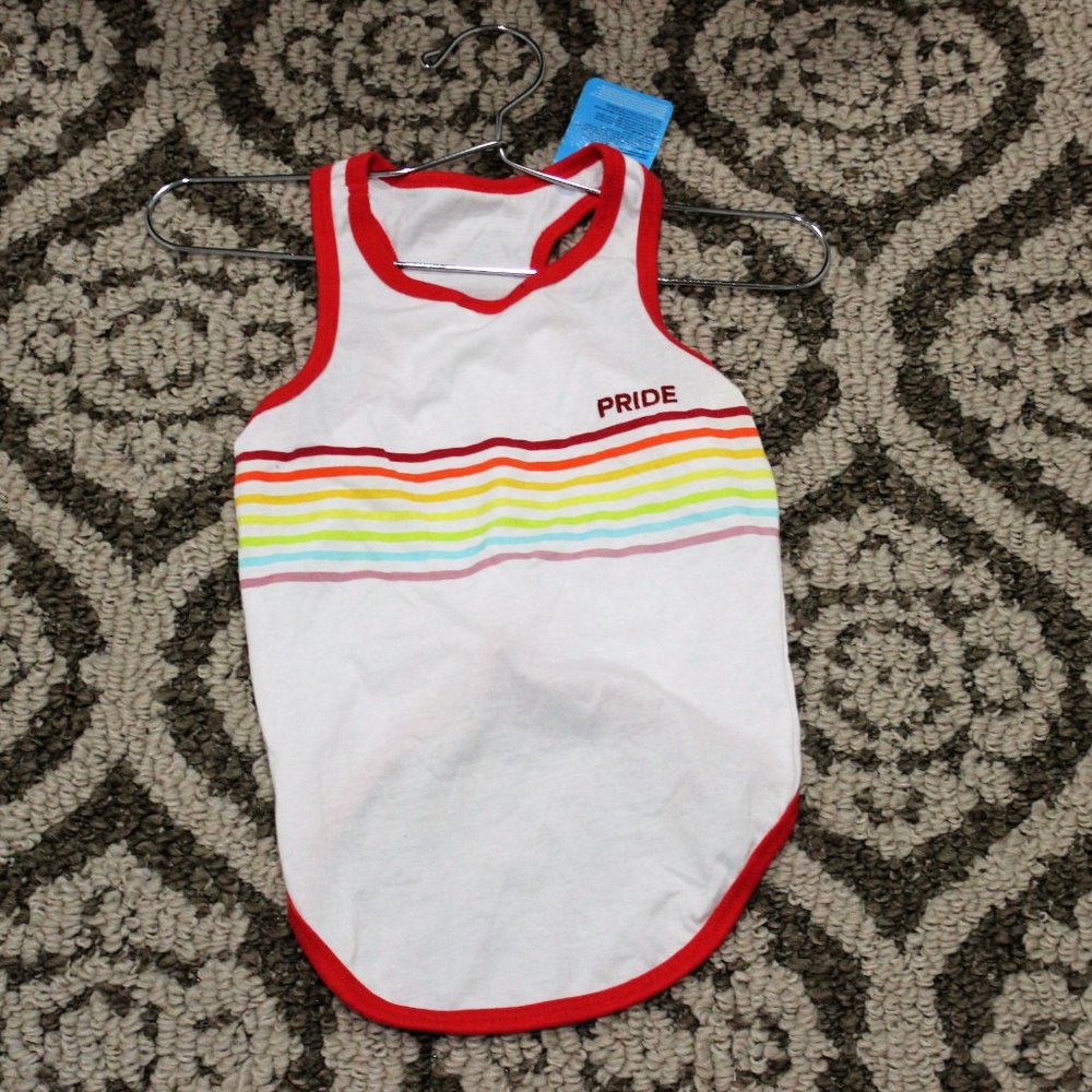 You are Loved Rainbow Pride Dog Tee Tank Top L